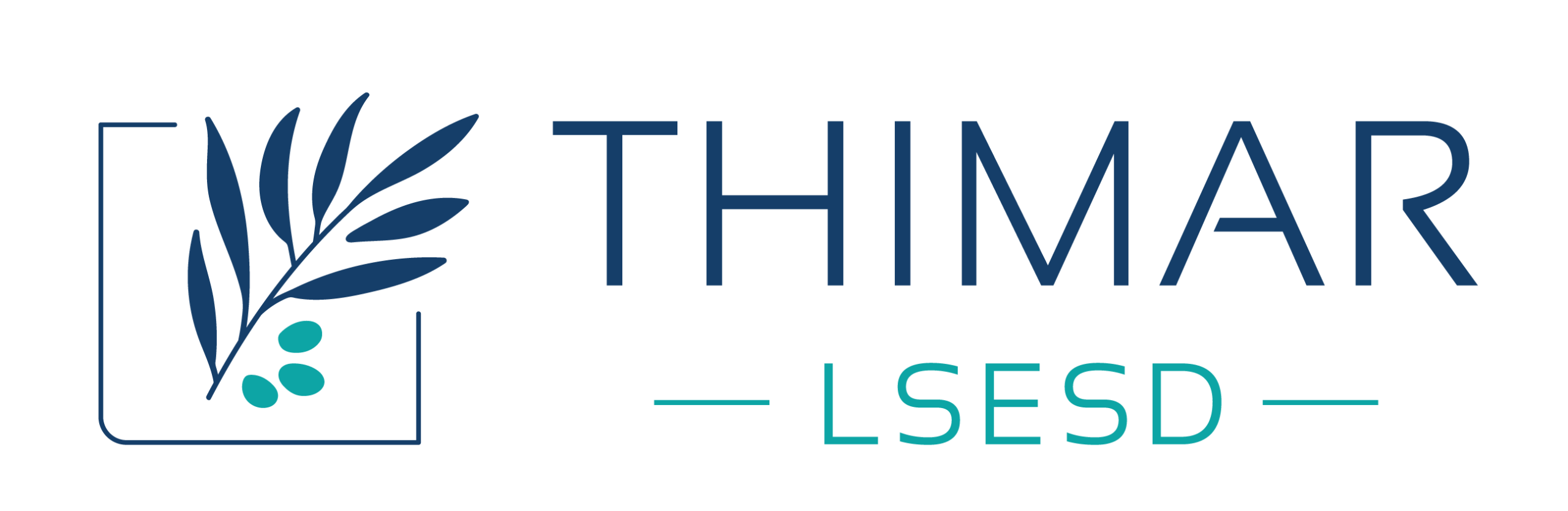 LSESD-25th-THIMAR-Logo_LSESD-25th-THIMAR-Logo